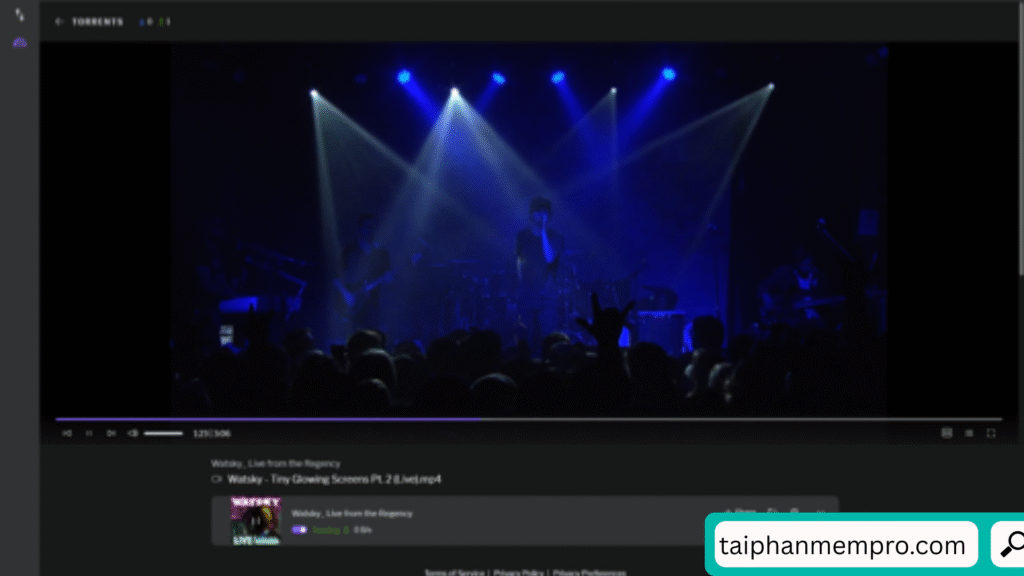 BitTorrent