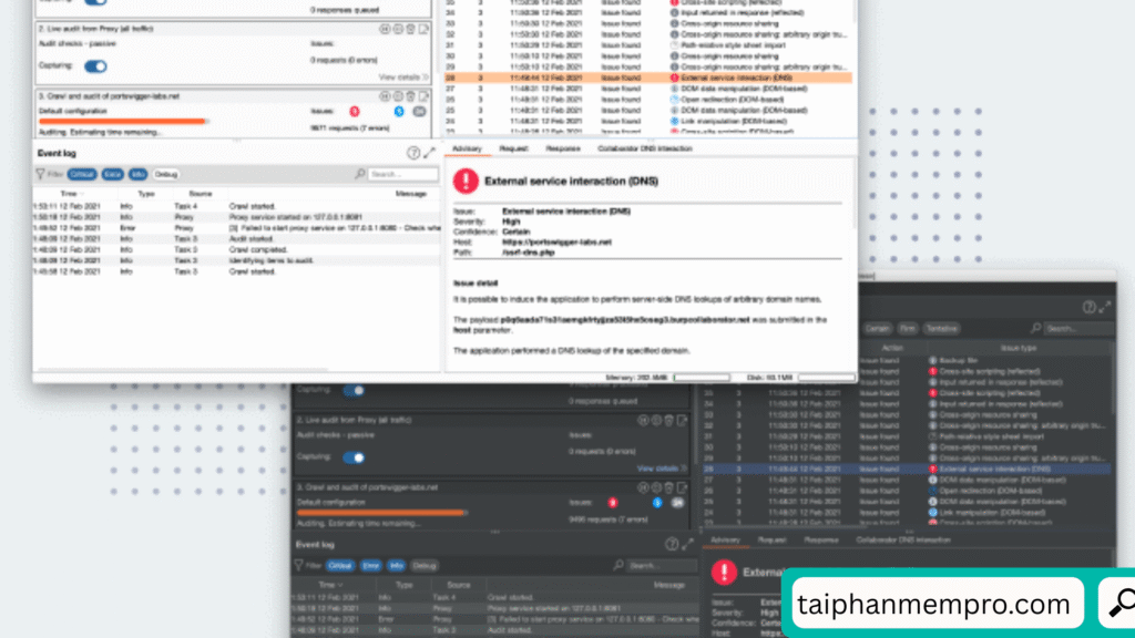 Burp Suite Pro