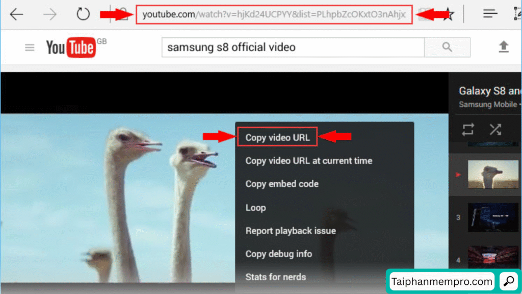 Youtube